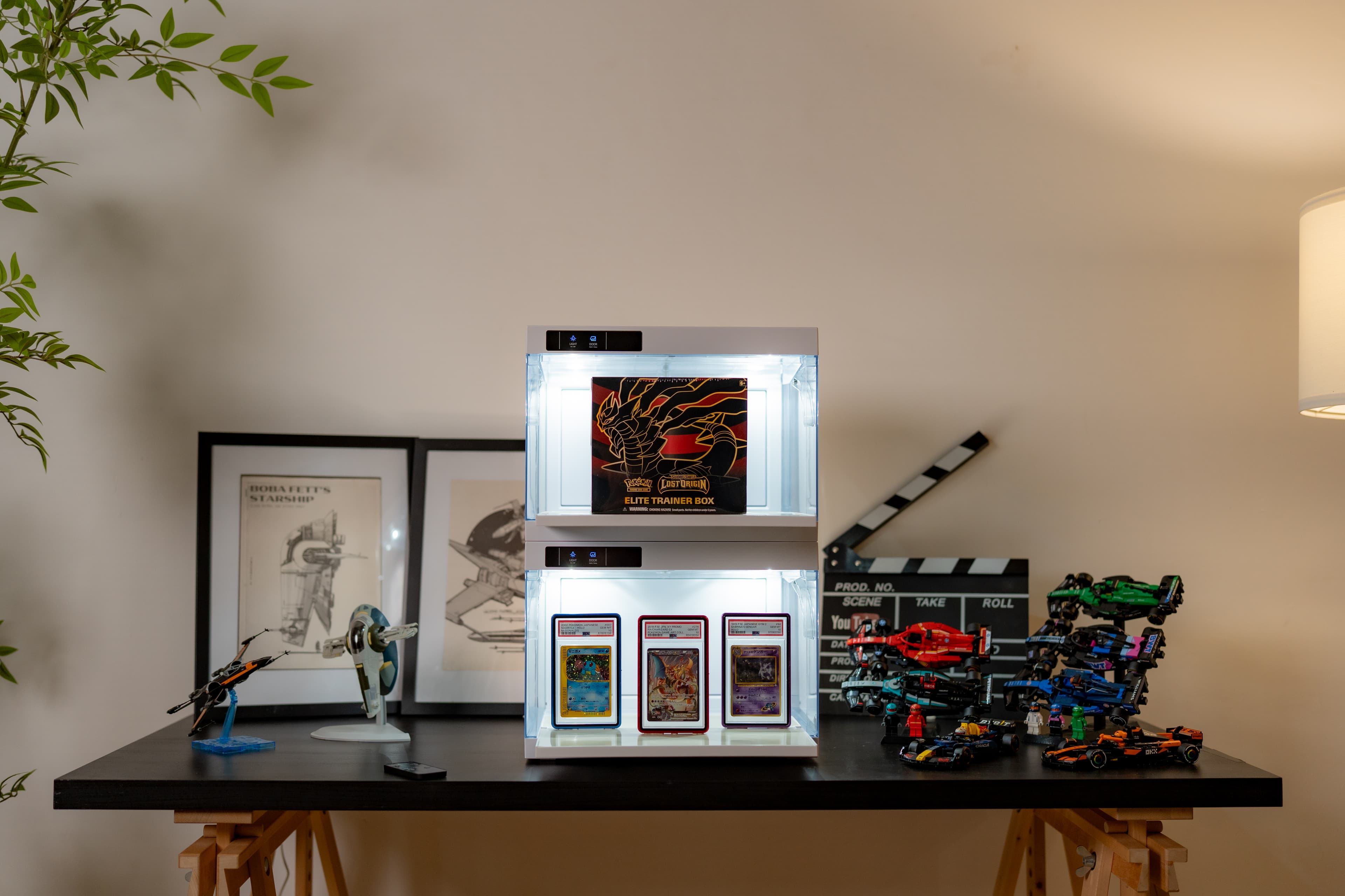 Premium Display Case - Image 4